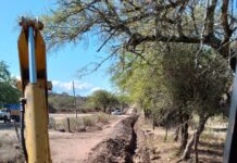 LA ALEGRIA EN SU ESPLANDOR!