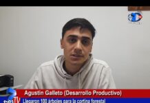 Agustin Galletto: Llegaron 100 árboles para la cortina forestal
