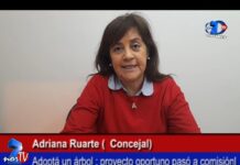 Adriana Ruarte: «Adoptá un árbol», proyecto pasó a comisión