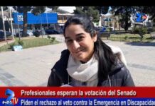 Senado avanza contra el veto a la Emergencia en Discapacidad