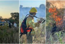 Guardia Local y Bomberos Voluntarios trabajaron en conjunto para controlar un incendio forestal en la zona de El Mangrullo