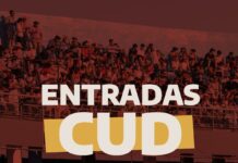 Festival de Jesús María: ACCESO DE PERSONAS CON DISCAPACIDAD