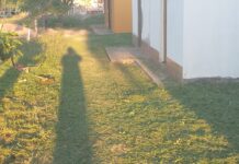 Limpieza y desmalezamiento en el Cementerio de Villa Quilino