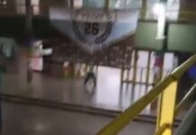 Santa Fe: Un alumno llevó una escopeta a la Escuela y mató a un compañero