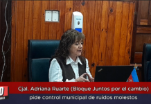 Cjal. Adriana Ruarte (Bloque Juntos por el cambio) pide control municipal de ruidos molestos