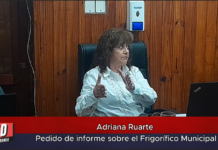 Adriana Ruarte Pedido de Informe sobre el Frigorífico Municipal