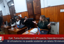 Cjal. Tnia Kyshakevych (Proyecto hiperdemorado) El oficialismo no puede sostener un relato 10 minutos