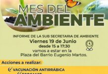 Mes del Ambiente
