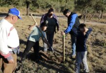 LA MUNICIPALIDAD DE QUILINO REALIZÓ UNA JORNADA AMBIENTAL POR EL DÍA MUNDIAL DEL ÁRBOL