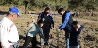 LA MUNICIPALIDAD DE QUILINO REALIZÓ UNA JORNADA AMBIENTAL POR EL DÍA MUNDIAL DEL ÁRBOL