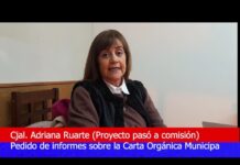 Concejal Ruarte: Pedido de informes sobre la carta orgánica municipal