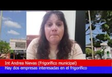 Hay dos empresas interesadas en el frigorífico municipal