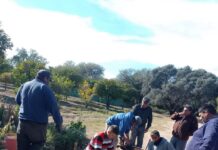 Capacitación en el Vivero Municipal