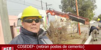 Reciclan postes de cemento para ubicarlos en Bª Moreyra Ross