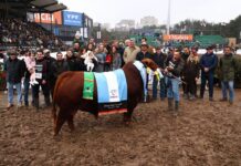 Orgullo Quilinense en Palermo!!